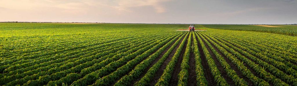 Exorior - Sachversicherung in der Landwirtschaft - Welchen Schutz brauche ich als Landwirt?