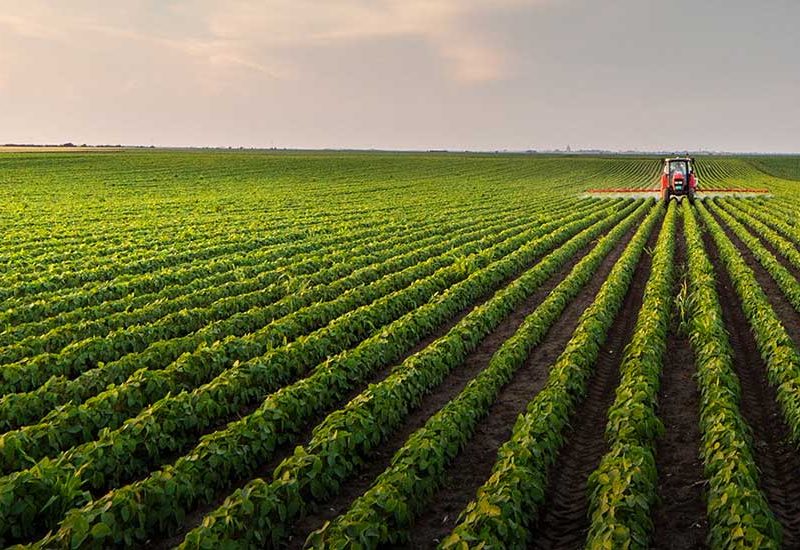 Exorior - Sachversicherung in der Landwirtschaft - Welchen Schutz brauche ich als Landwirt?